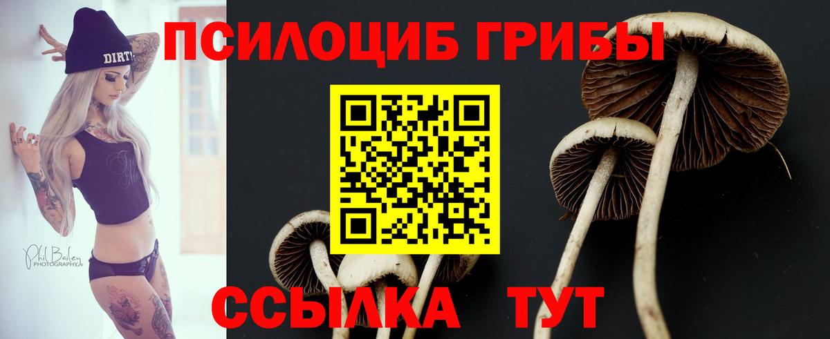 Псилоцибиновые грибы мухоморы Прокопьевск
